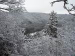 Sneeuwlandschap