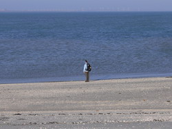 Turen over de Oosterschelde .......